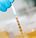 Lab